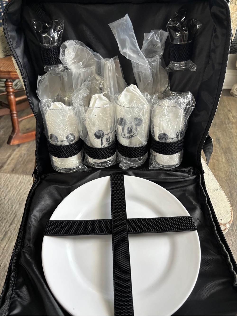 Disney Park Tripper Picnic Backpack with service for 4